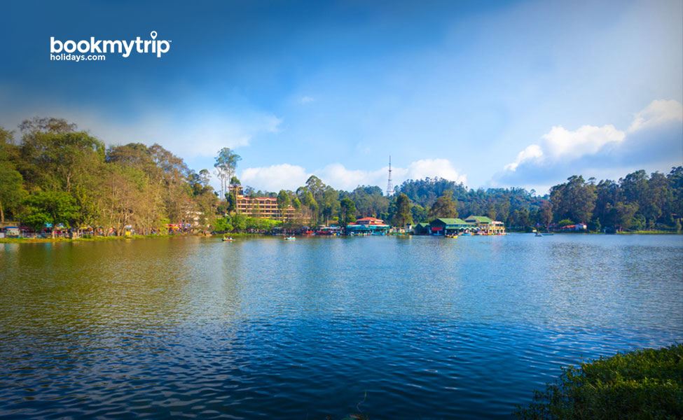 Bookmytripholidays | Misty Kodai Experience | Luxury tour packages